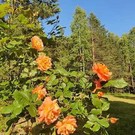 Sveti Pantelejmon