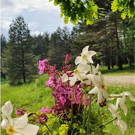Sveti Pantelejmon *