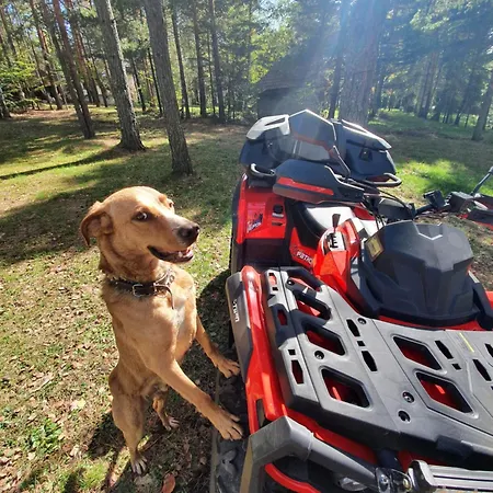 Apartamento Sveti Pantelejmon Divčibare