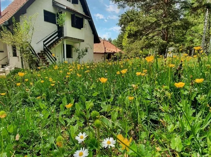 Апартаменты Sveti Pantelejmon